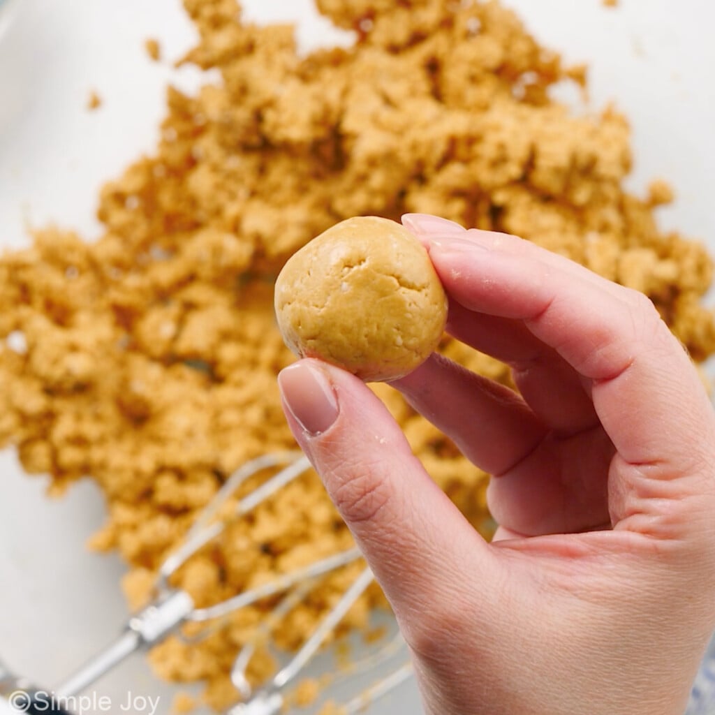 an uncoated peanut butter ball being held between two fingers