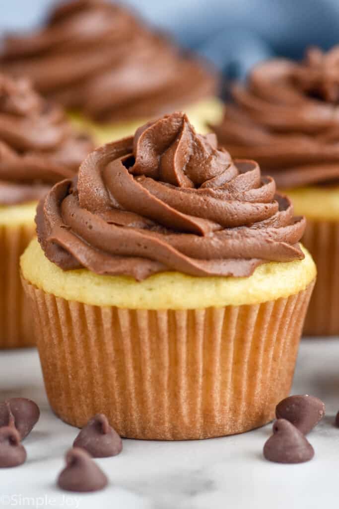 Cupcakes topped with Chocolate Cream Cheese Frosting. Chocolate chips beside.