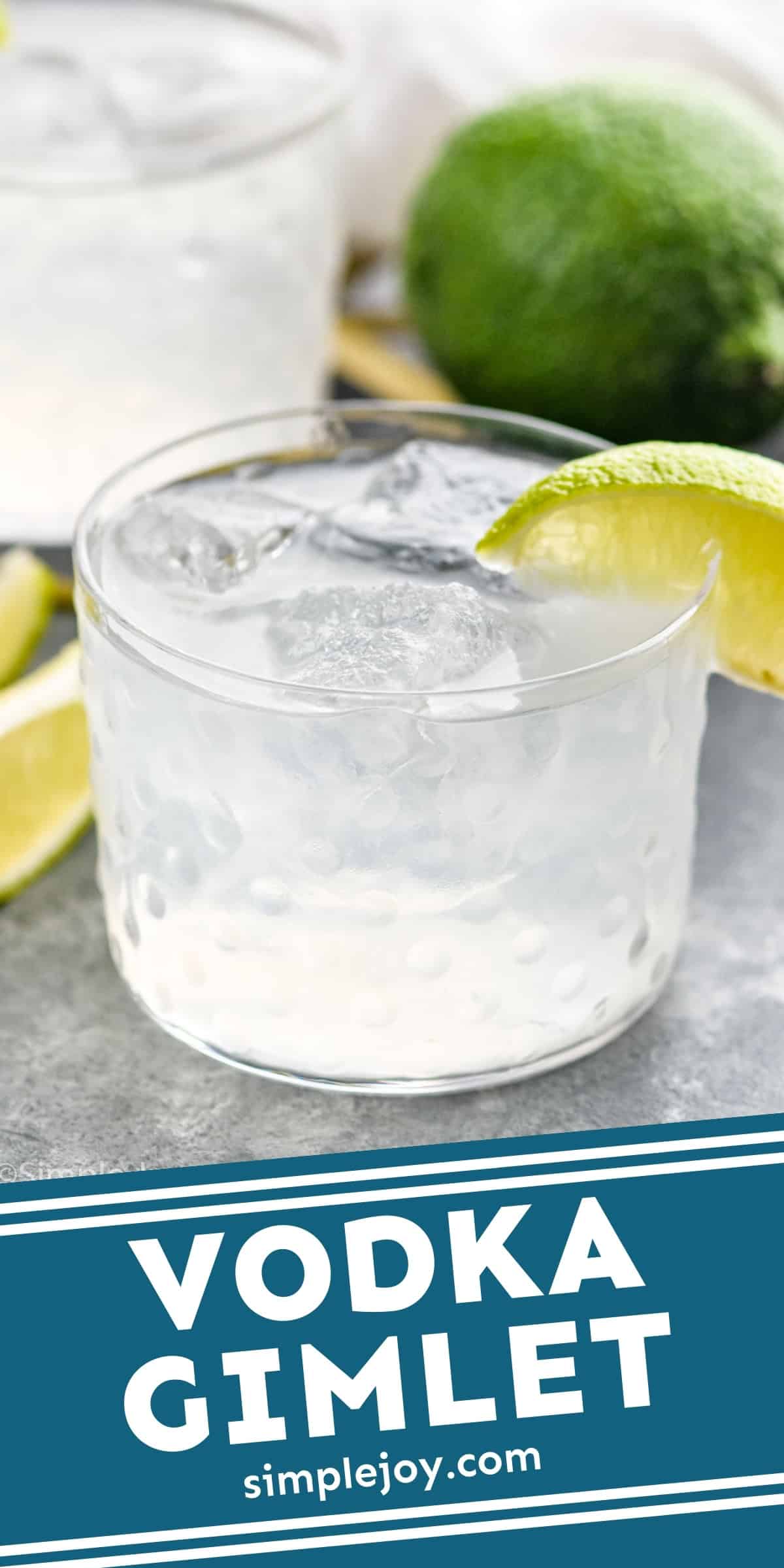 Vodka Gimlet Recipe Simple Joy