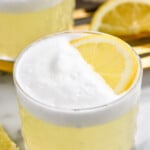 Gin Fizz garnished with lemon slice. Lemon slices beside.