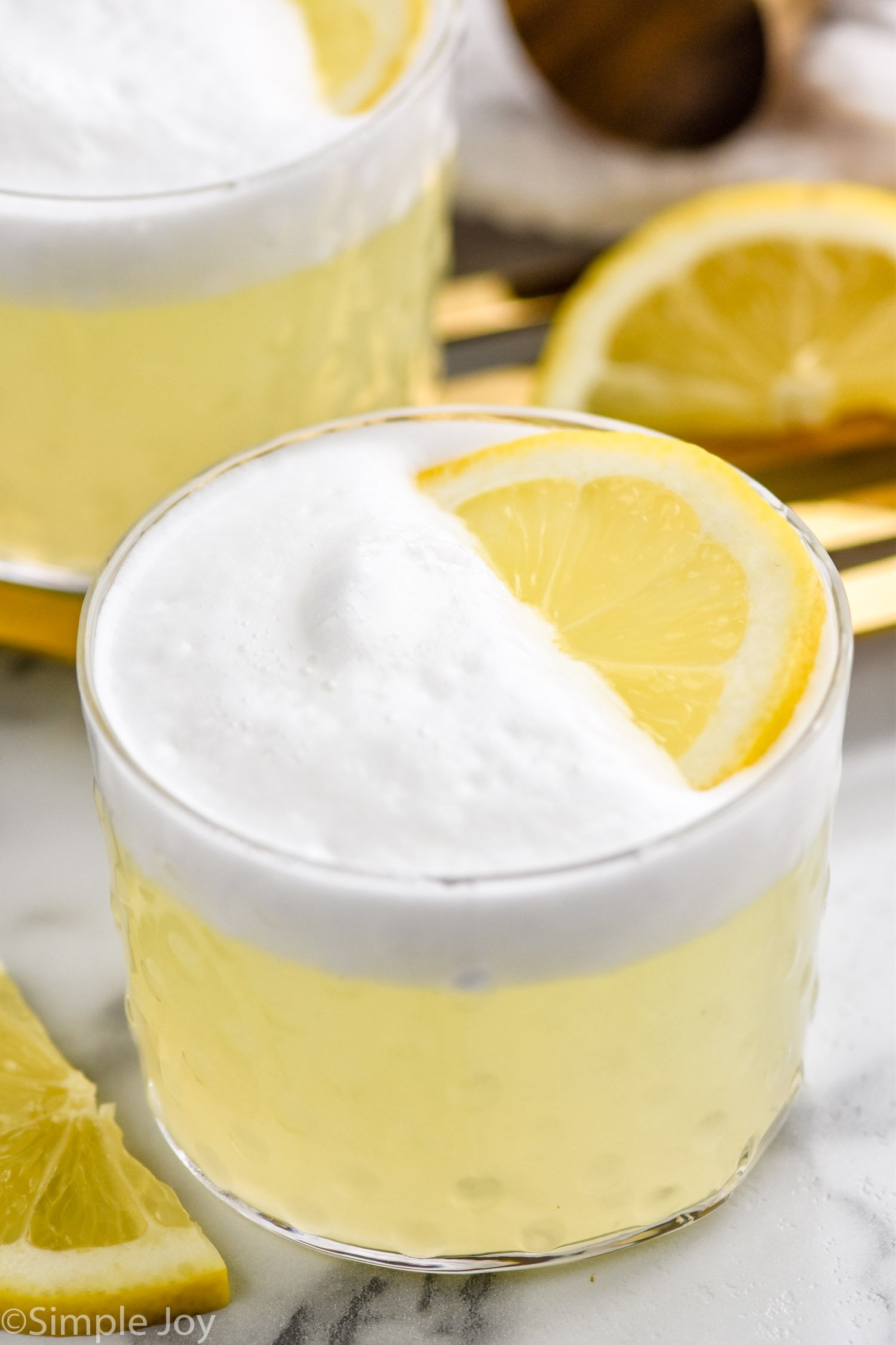 Gin Fizz garnished with lemon slice. Lemon slices beside.