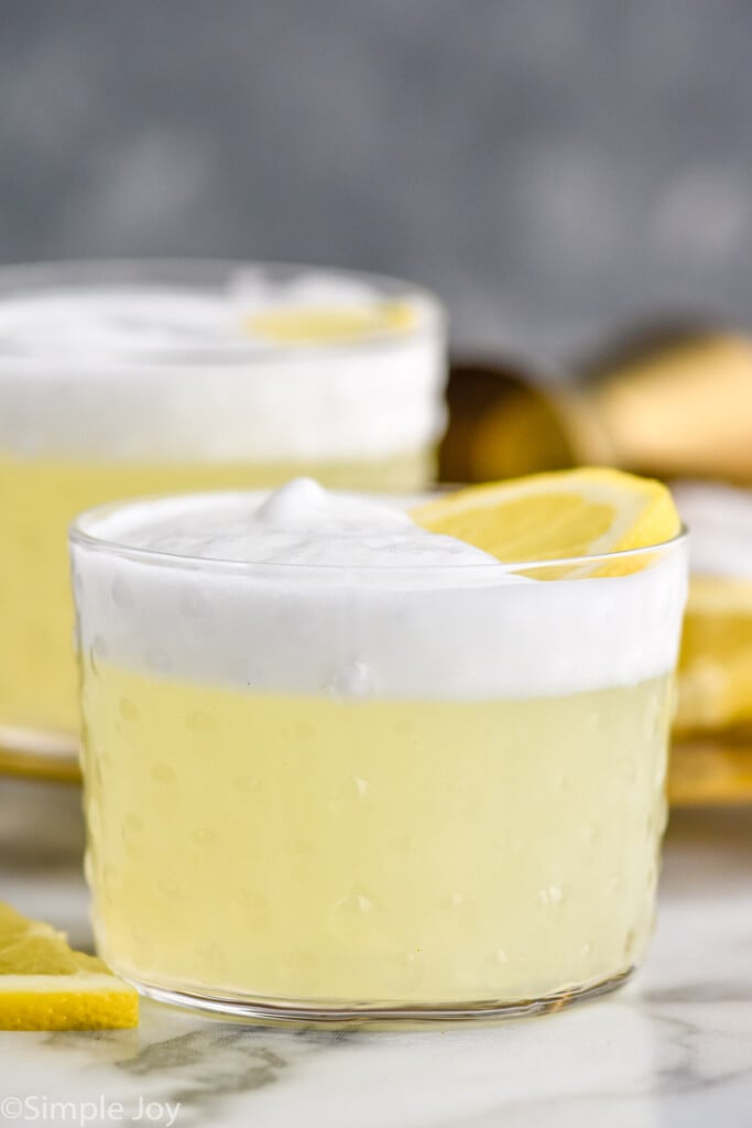 Side view of Gin Fizz with lemon slice