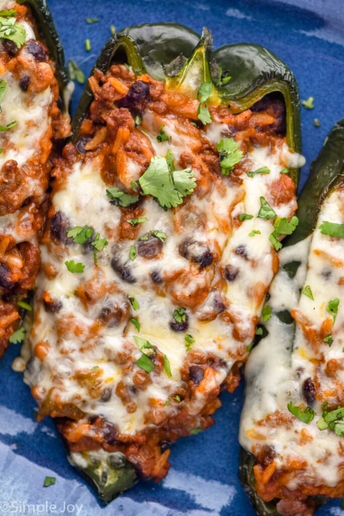 Close up photo of Stuffed Poblano Peppers