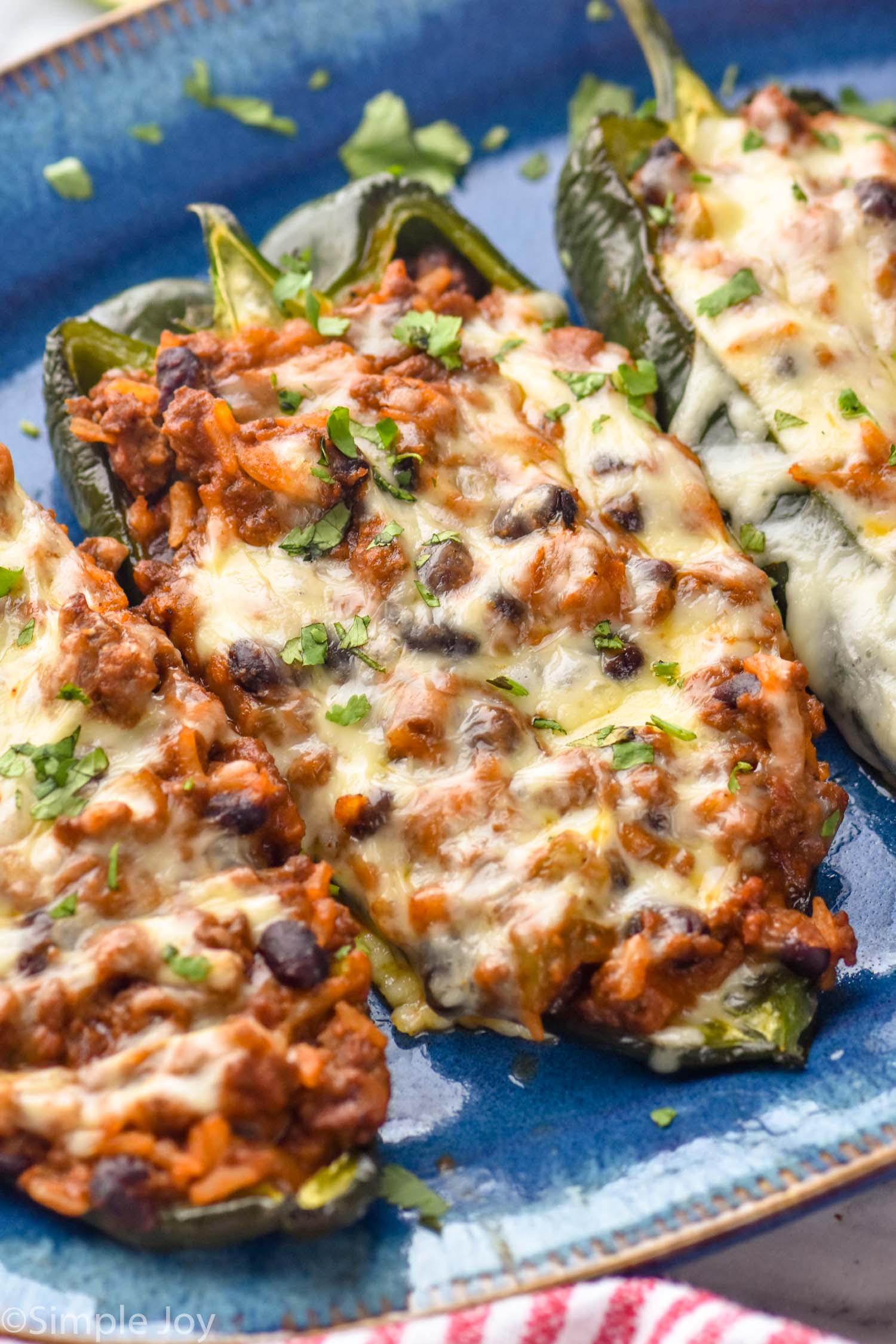 Close up photo of Stuffed Poblano Peppers