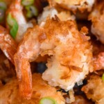 Close up photo of Coconut Shrimp garnished with green onions - 10