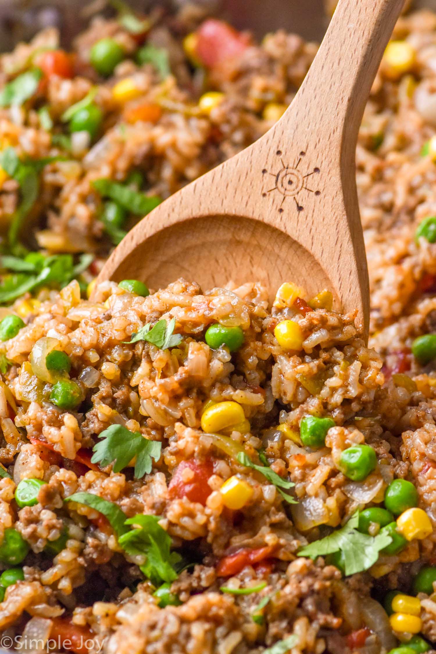close up of large serving Spoon, serving up Ground Beef and Rice