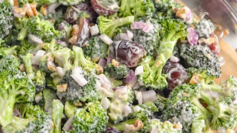 broccoli salad with red wine vinegar dressing The Best Broccoli Salad Recipe