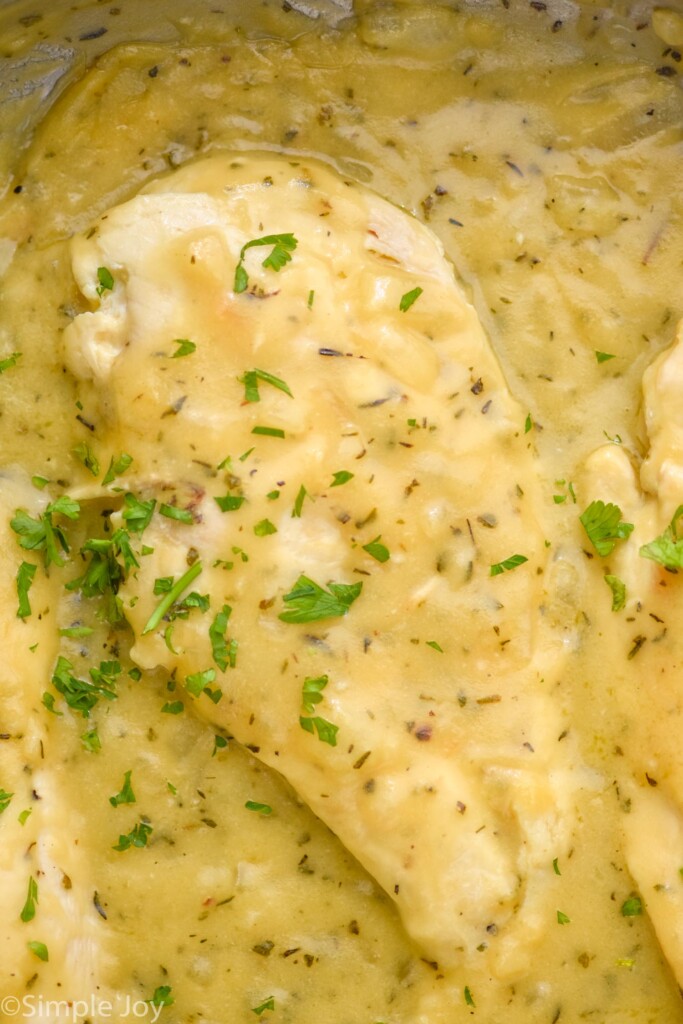 close up of Honey Mustard Chicken
