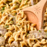 close up of wooden spoon in Beef Stroganoff