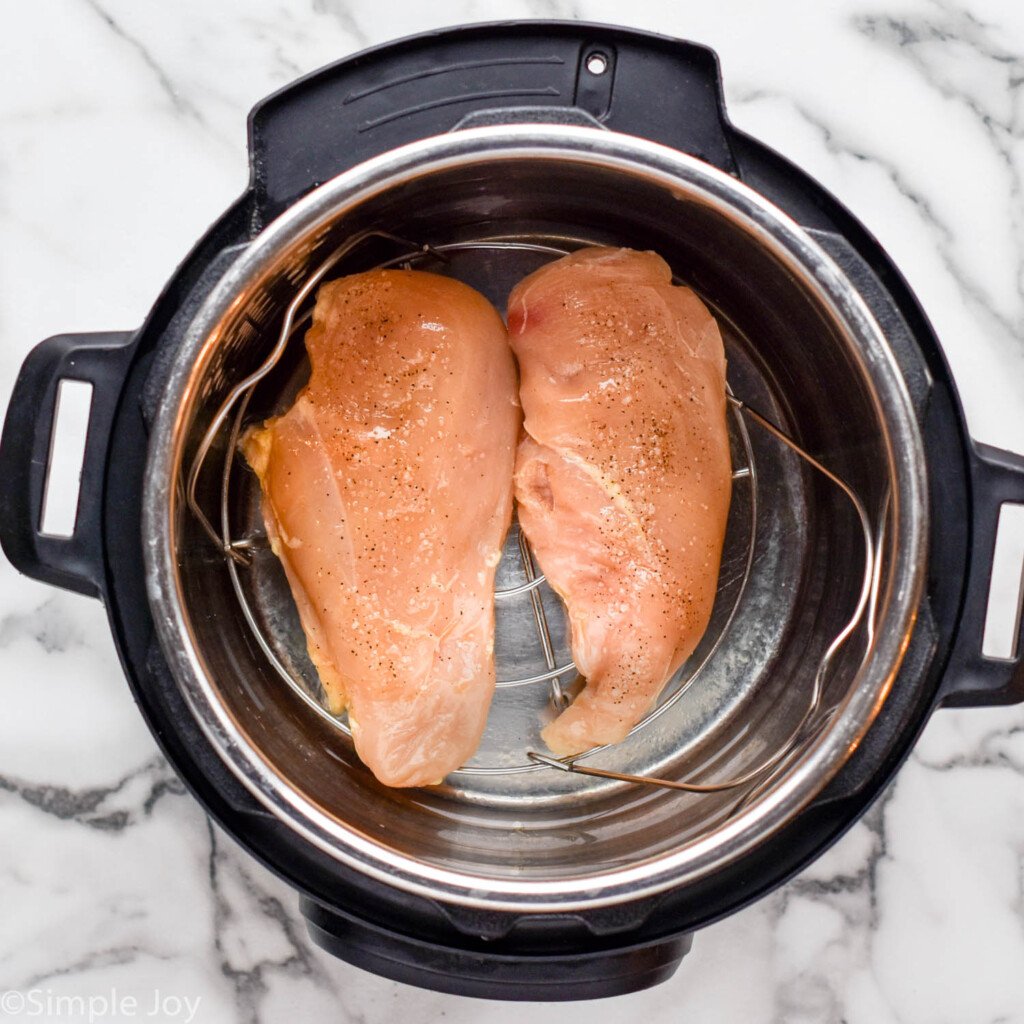 Overhead view of an instant pot with two raw chicken breasts for Instant Pot Chicken recipe.