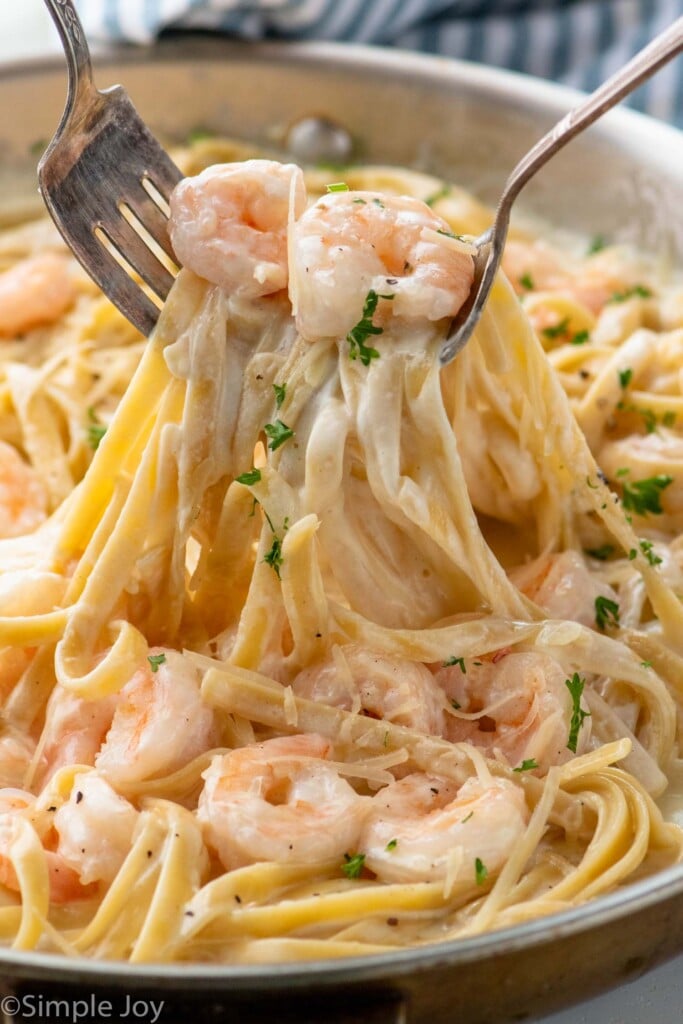 Two forks lifting up serving of Shrimp Alfredo from skillet.