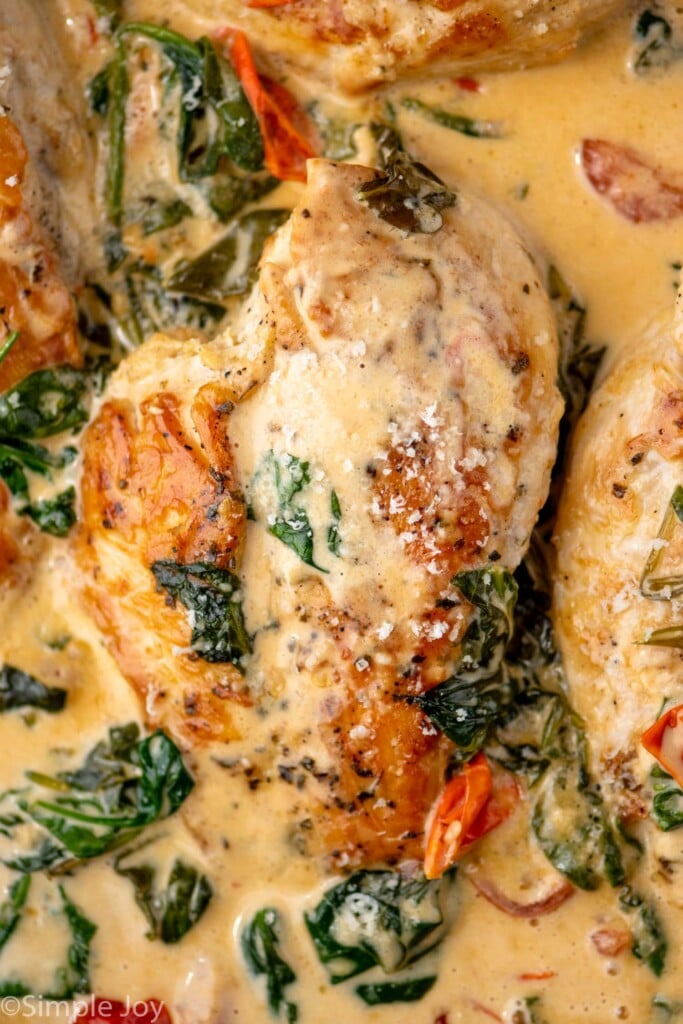 Close up photo of Tuscan Chicken