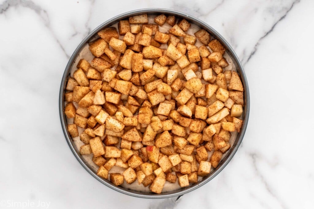 Amazing Caramel Apple Cheesecake - 12