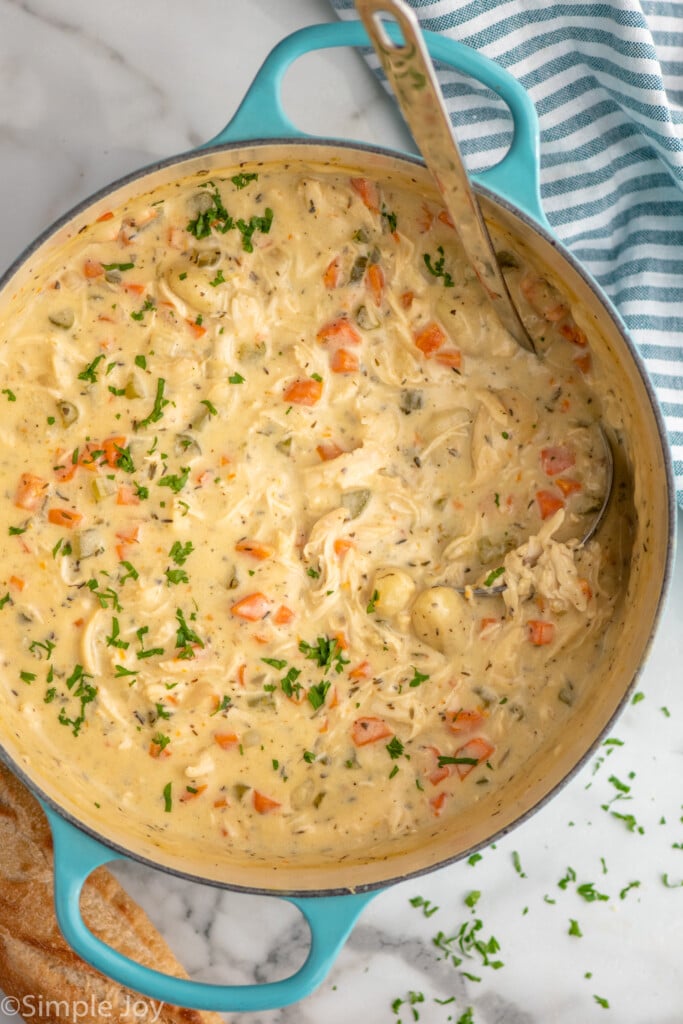 Overhead view of a pot of chicken gnocchi soup with ladle for serving.