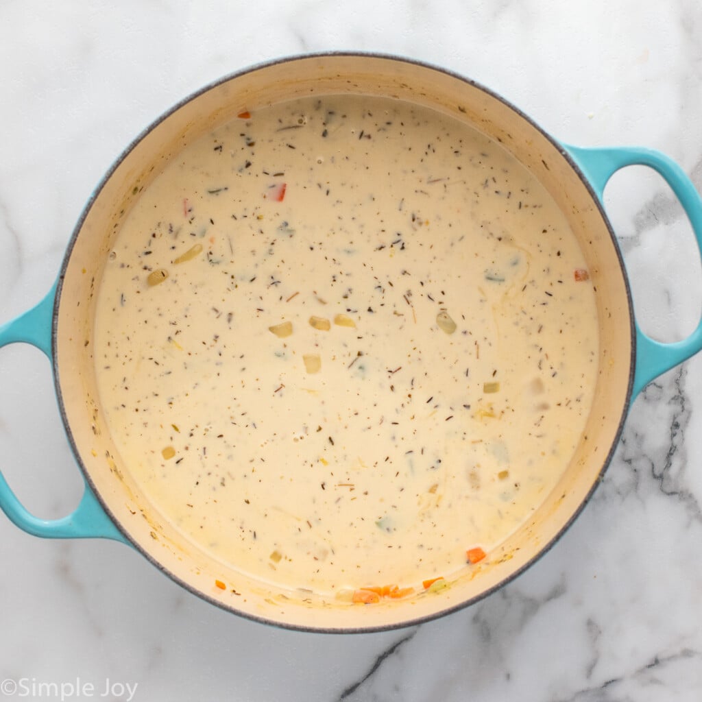 Overhead view of a pot of chicken gnocchi soup recipe