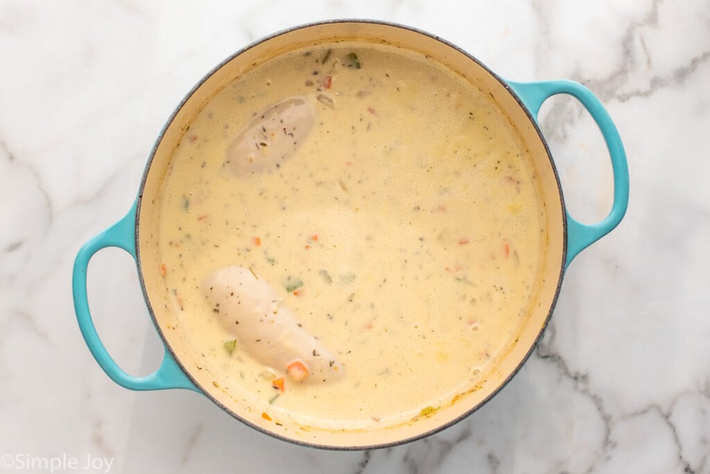 Overhead view of a pot of chicken gnocchi soup recipe with chicken breasts.