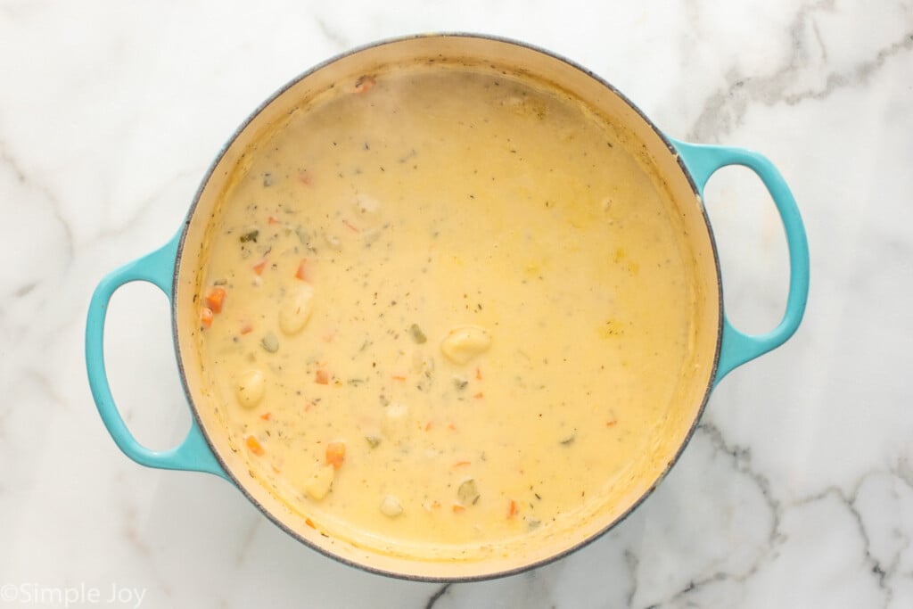 Overhead view of a pot of chicken gnocchi soup