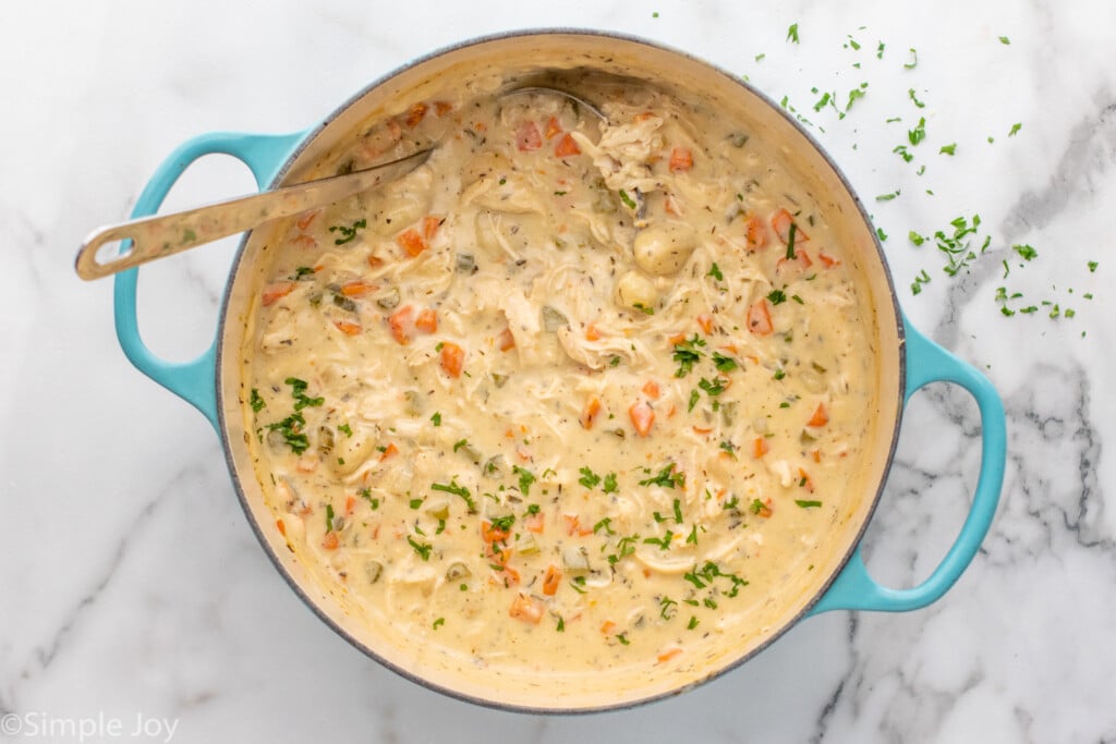 Overhead view of a pot of chicken gnocchi soup with a ladle for serving.