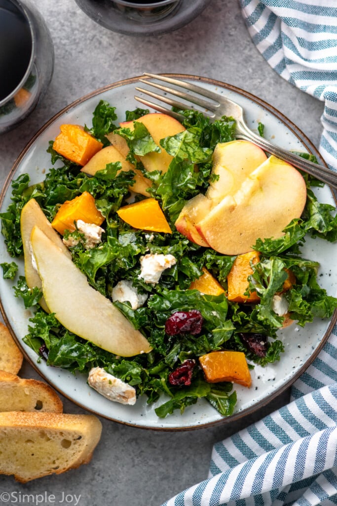 Overhead view of a plate of Winter Salad topped with dried cranberries and goat cheese, forks. Glasses of red wine and toasted bread beside. - 7