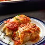 Plate with Stuffed Cabbage Rolls - 15