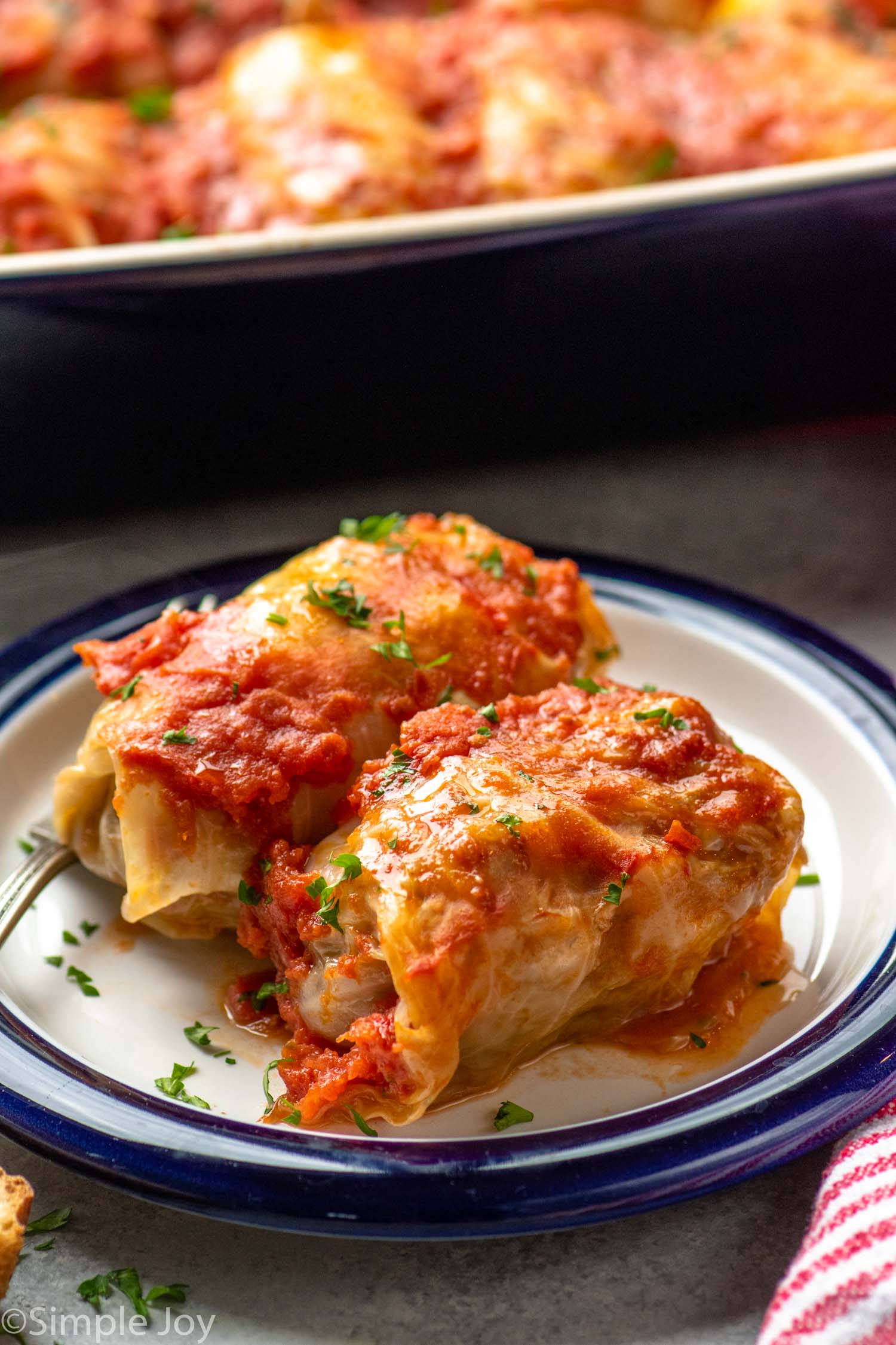 Plate with Stuffed Cabbage Rolls