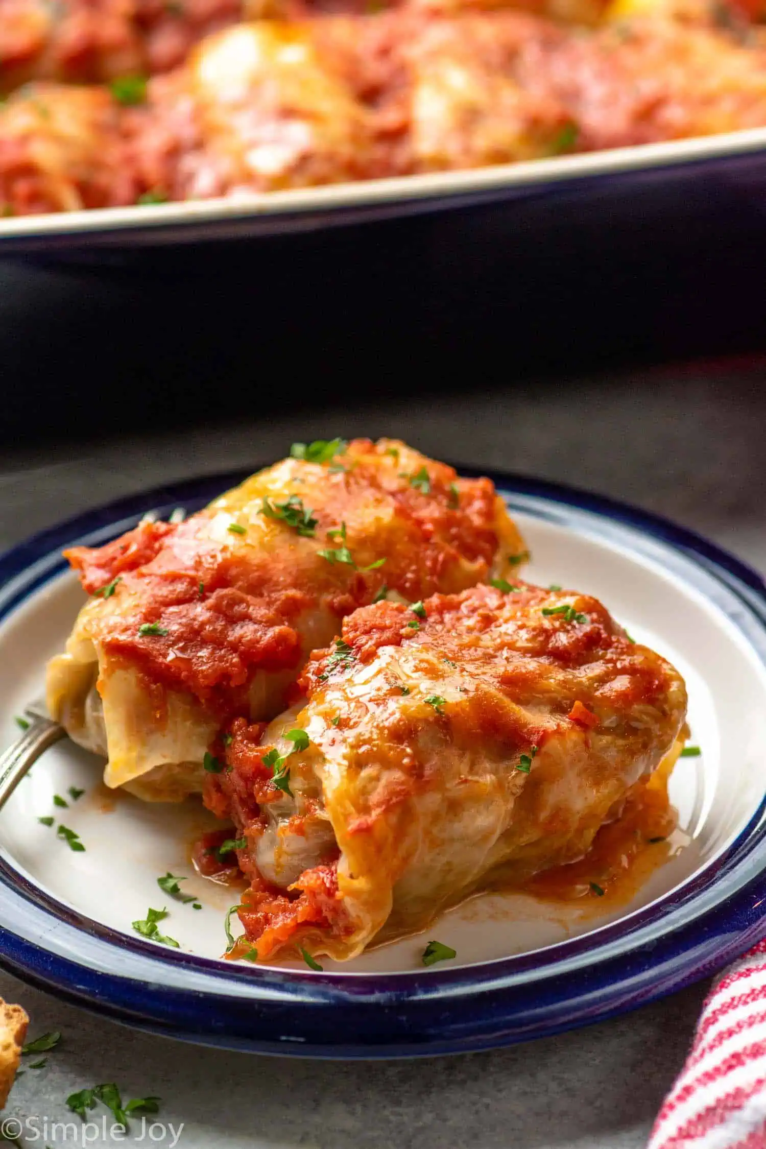 Plate with Stuffed Cabbage Rolls