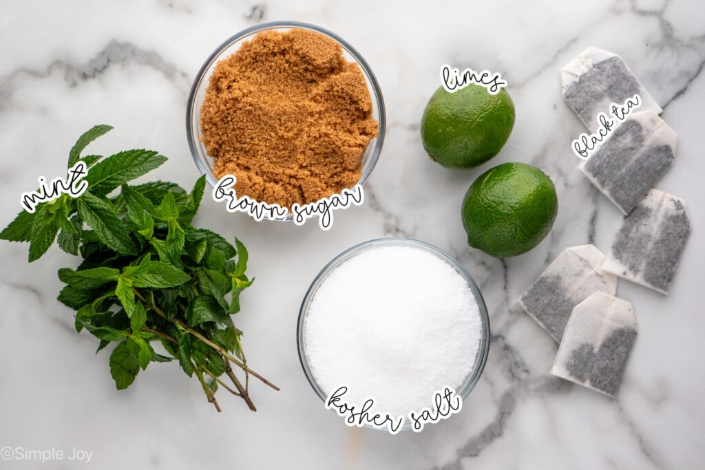 Overhead view of ingredients on countertop for turkey brine recipe.
