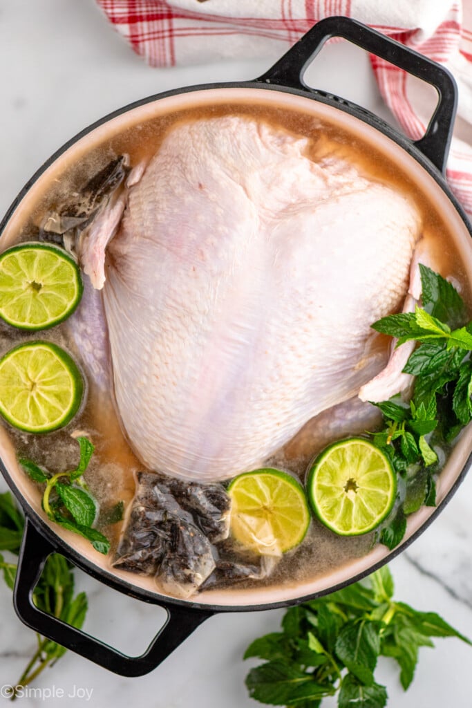 Overhead view of large pot with raw turkey, limes, mint leaves, tea bags, liquid, and spices for turkey brine recipe.