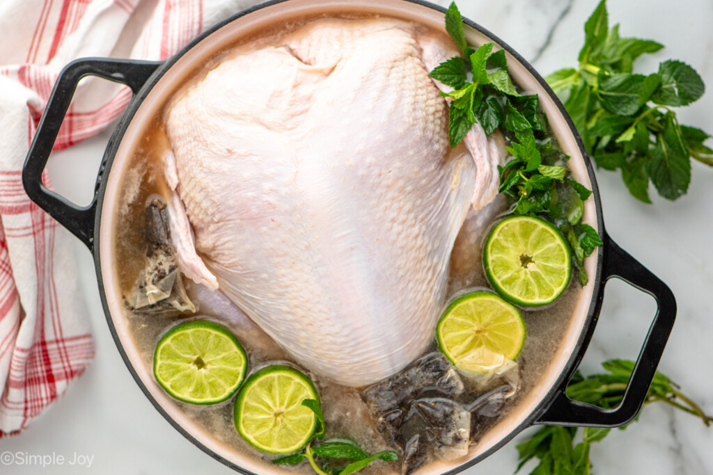 Overhead view of a large pot with raw turkey and turkey brine recipe, including sliced limes, mint leaves, and tea bags.
