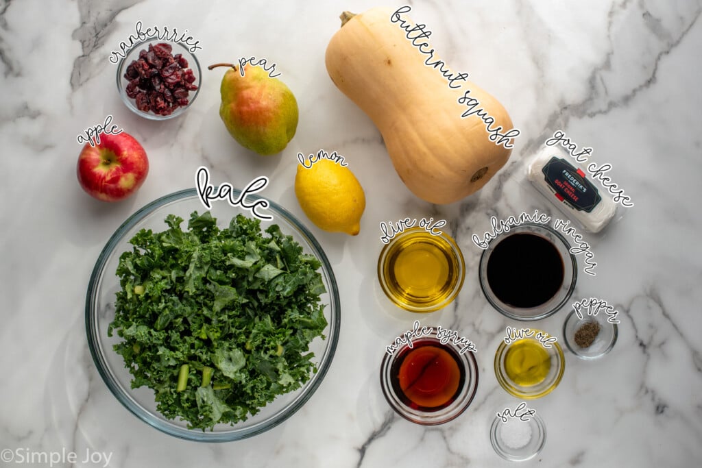 Overhead view of ingredients on countertop for Winter Salad recipe. - 4