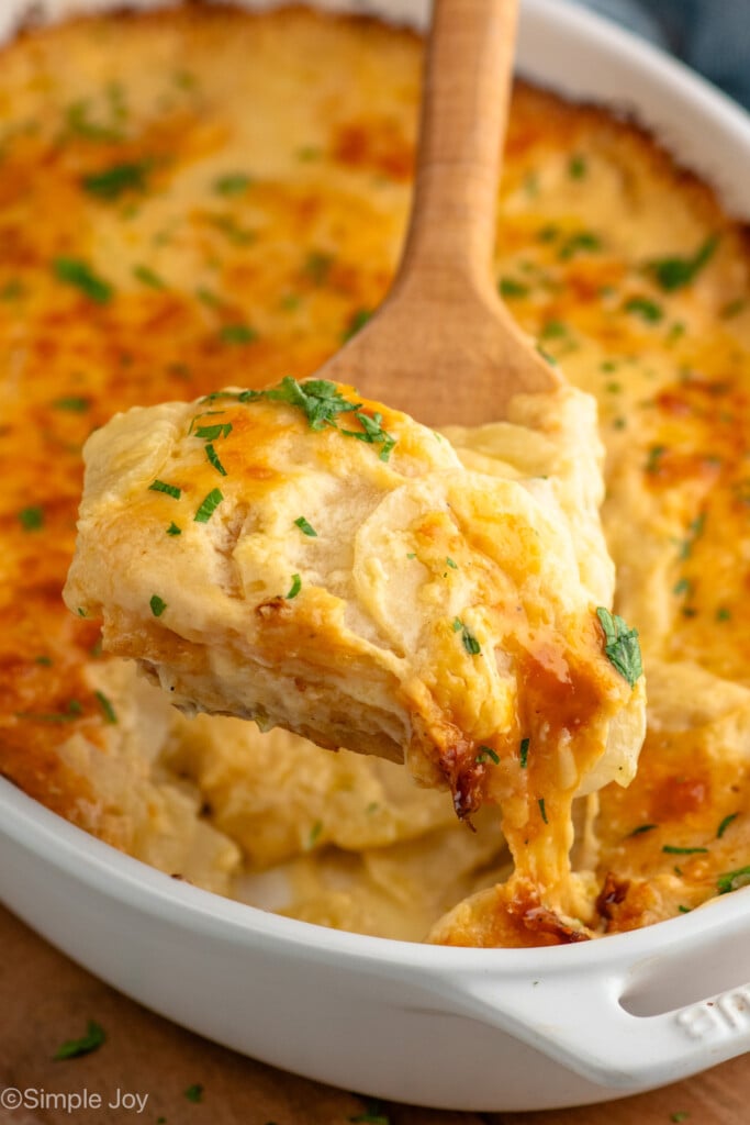 Wooden spoon serving portion of Potatoes Au Gratin from baking dish of Potatoes Au Gratin. - 3