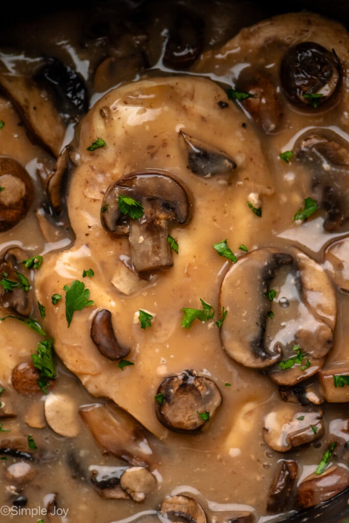 Close up view of Crock Pot Chicken Marsala - 10