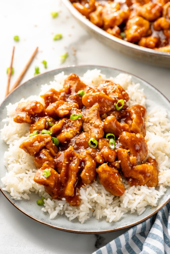 Plate of rice with Bourbon Chicken garnished with chopped green onions and sesame seeds - 12