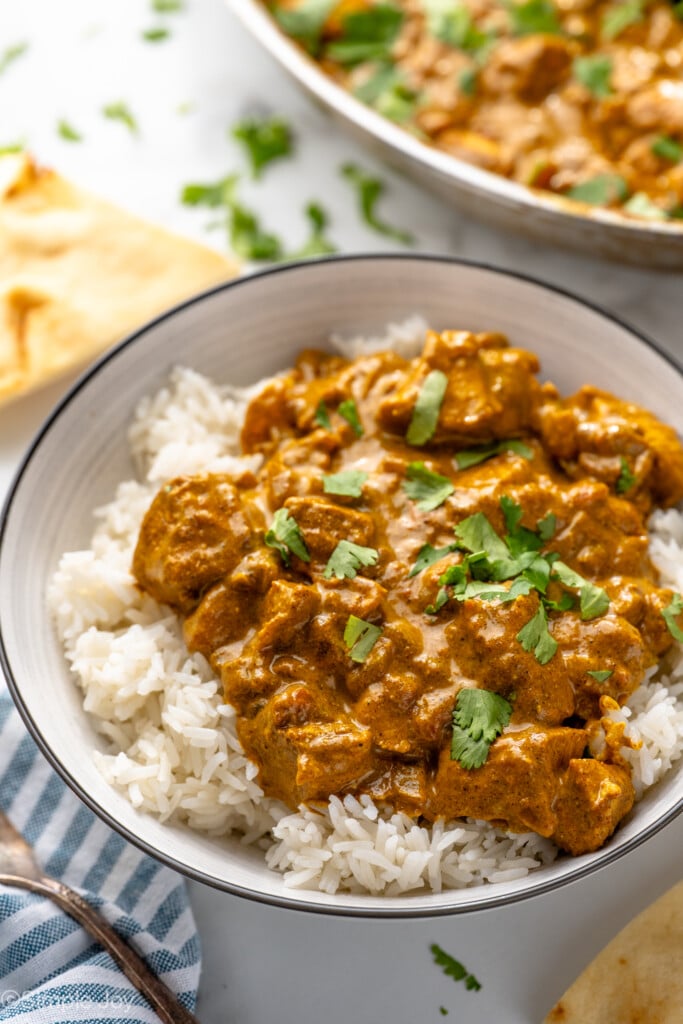 Bowl of rice topped with Chicken Curry garnished with cilantro - 4