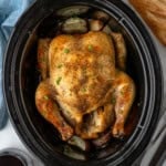 Overhead of slow cooker of whole chicken