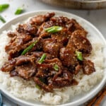 plate of Mongolian Beef over white rice topped with diced green onion