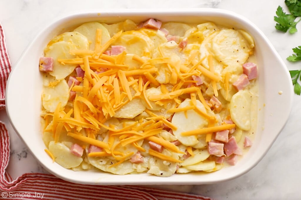 overhead of casserole dish of scalloped potatoes and ham recipe topped with shredded cheese