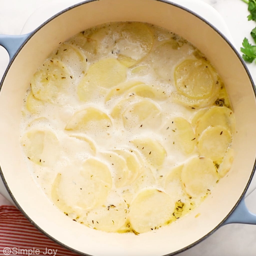 overhead of Dutch oven of scalloped potatoes and ham ingredients