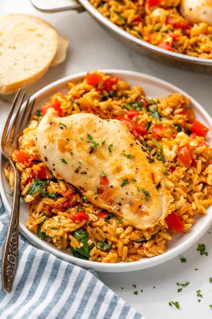 a chicken breast on a bed of orzo