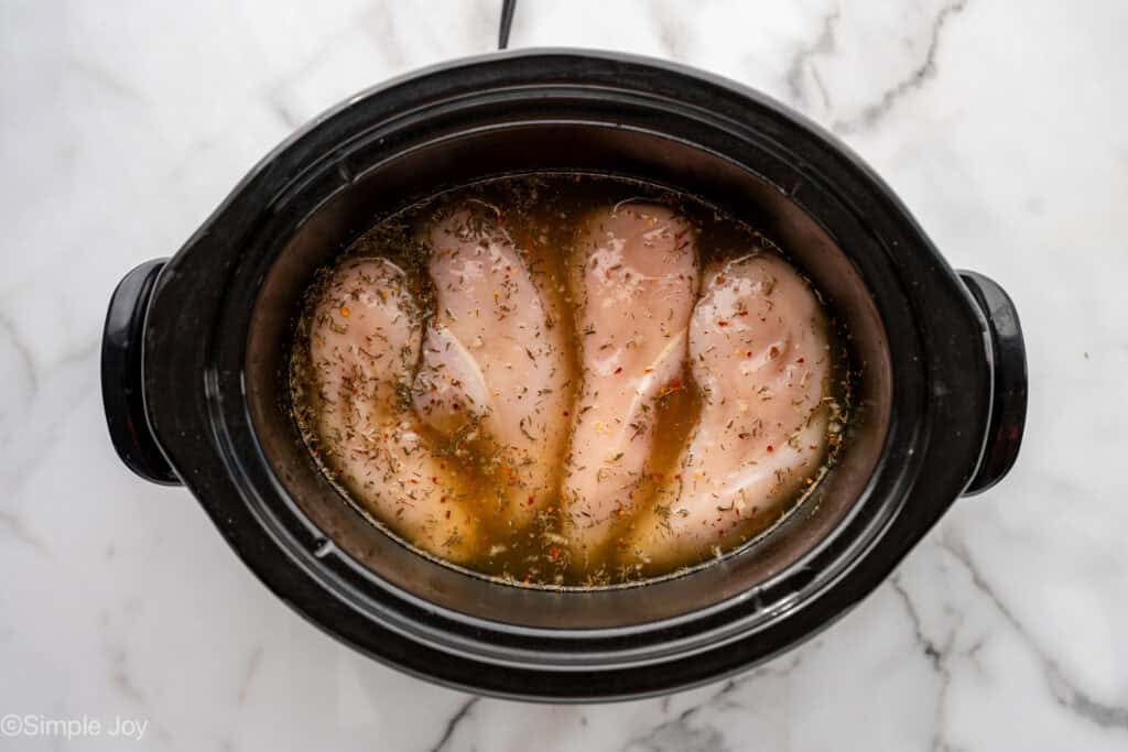 overhead of four chicken breasts in a slow cooker with chicken broth and seasonings