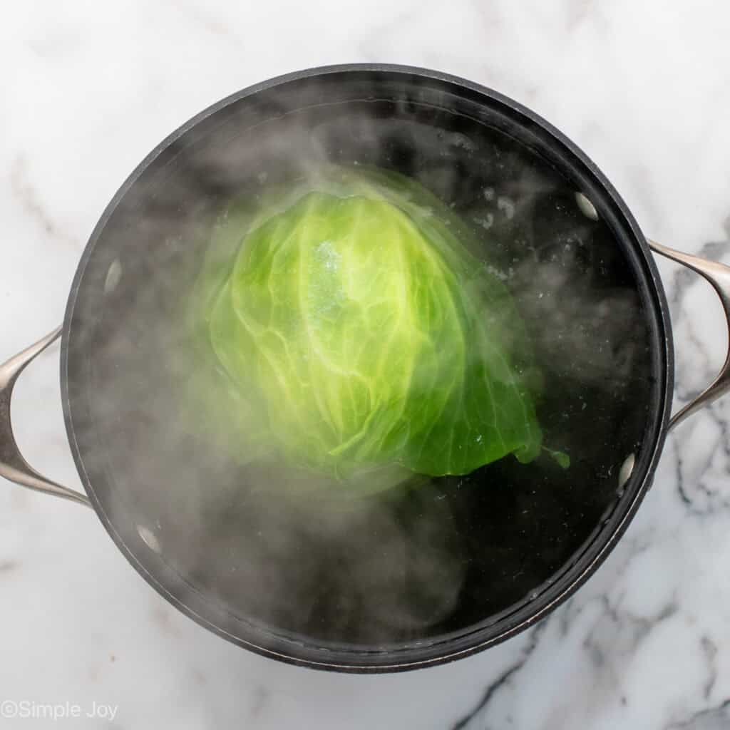 Overhead of head of cabbage in a large pot of boiling water to make crockpot cabbage rolls