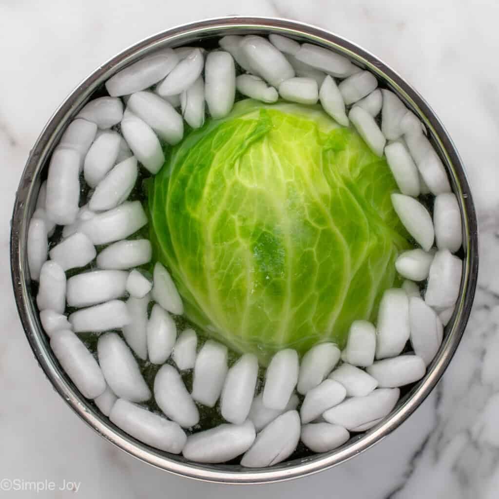Overhead of head of cabbage in bowl of ice and water
