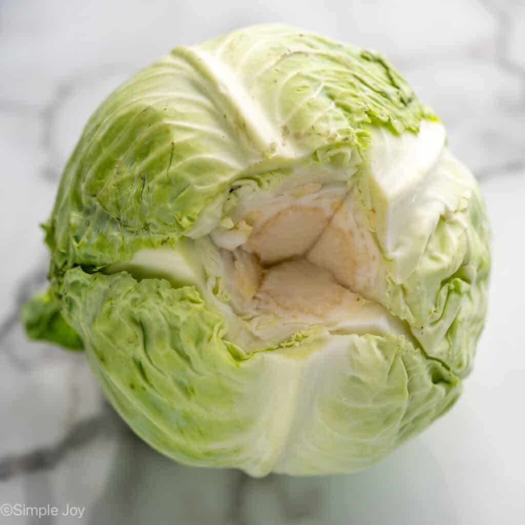Overhead of head of cabbage