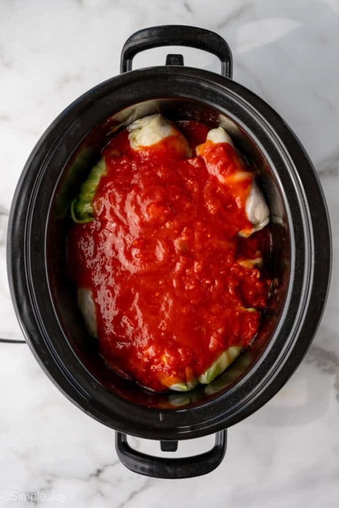 Overhead of cabbage roll ingredients in a slow cooker