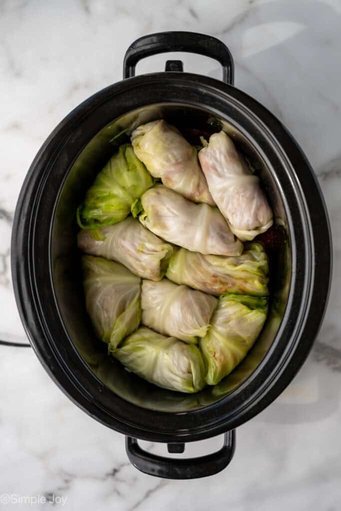 Overhead of cabbage roll ingredients in a slow cooker