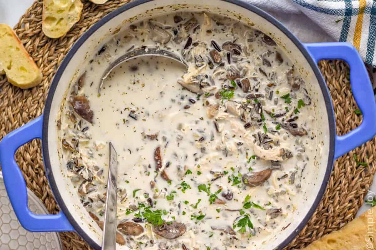 overhead of a pot of chicken and rice soup